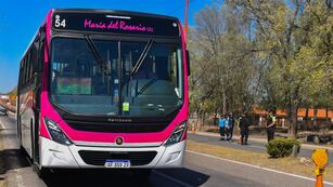 Transporte gratuito para este domingo de elecciones en San Luis