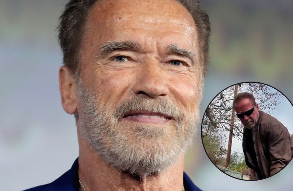 ¿Arnold Schwarzenegger albañil? El actor puso manos a la obra
