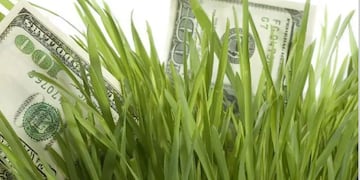 Otra vez el dólar vuelve a preocupar en la agenda política del Gobierno.