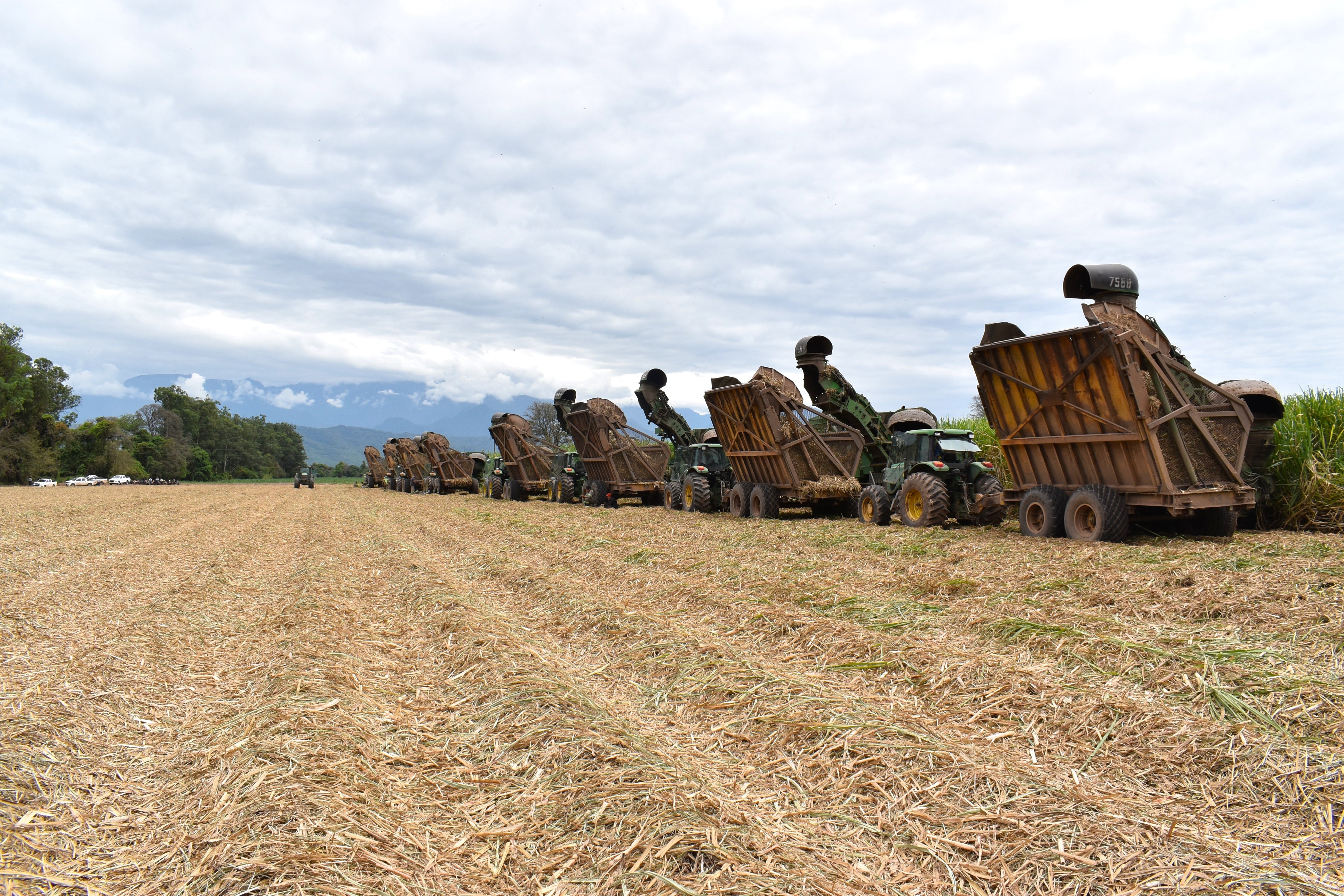 La empresa Ledesma finalizó su zafra 2025 en un contexto desafiante que impulsó la búsqueda constante de la competitividad en todos los procesos.