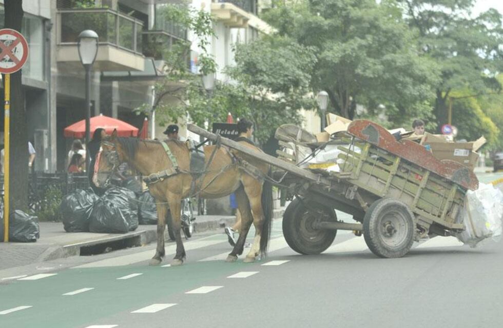 Carreros de Córdoba inician proceso de alfabetización: recibirán 25 mil pesos y un vehículo a cambio