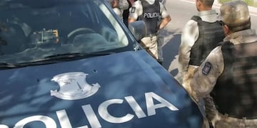 Detuvieron a dos hombres en Mendoza que transportaban carne de burro de forma ilegal (imagen ilustrativa)