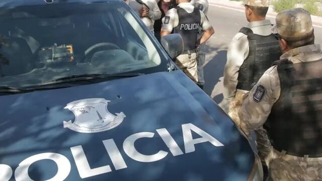 Detuvieron a dos hombres en Mendoza que transportaban carne de burro de forma ilegal (imagen ilustrativa)