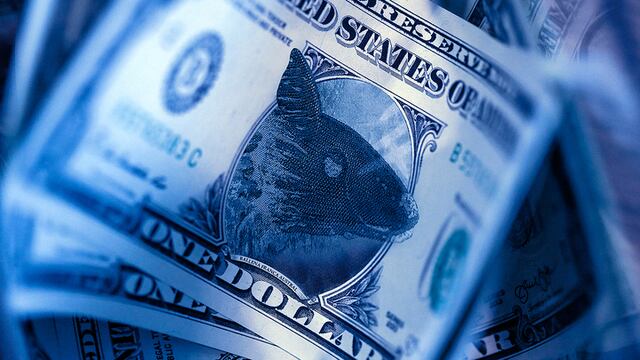 ¿El dólar ballena vuelve a Córdoba?