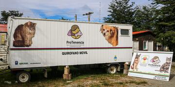 Se busca la concientización de la tenencia animal responsable.