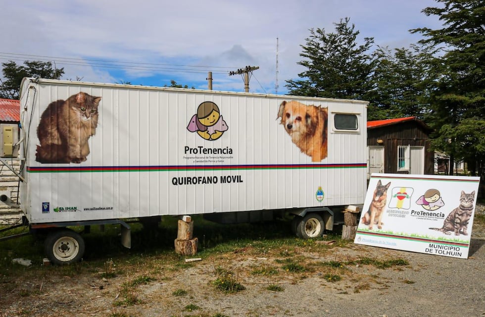 Tolhuin busca potenciar las castraciones este 2021