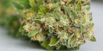 El sujeto tenía una inconmensurable cantidad de drogas en su casa. (Pexels)