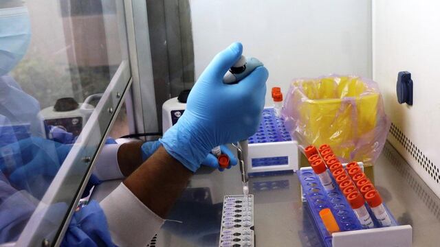 Los investigadores informaron que el virus Chapare puede causar fiebres hemorrágicas.