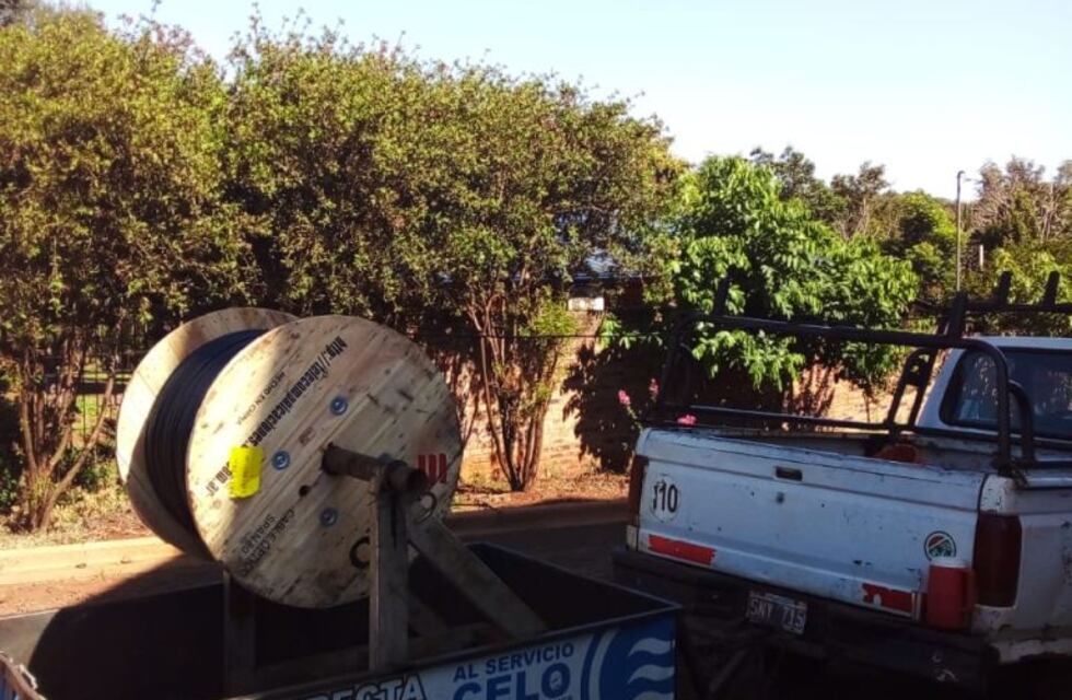Oberá: problemas en las telecomunicaciones debido a la caída de un árbol