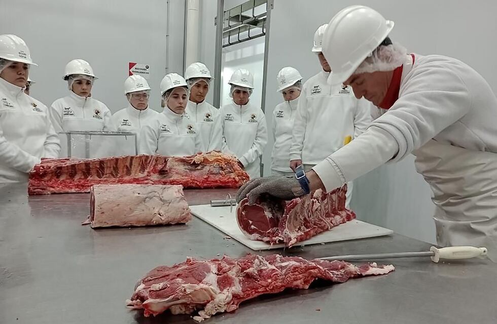 Impulsan nuevo programa de entrenamiento laboral en Gualeguaychú