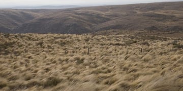 Clima ventoso en San Luis.