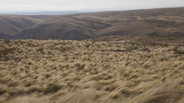 Clima algo ventoso y cálido en San Luis.