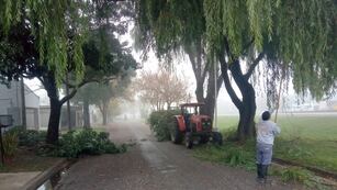 Tareas de poda en el barrio Fasoli