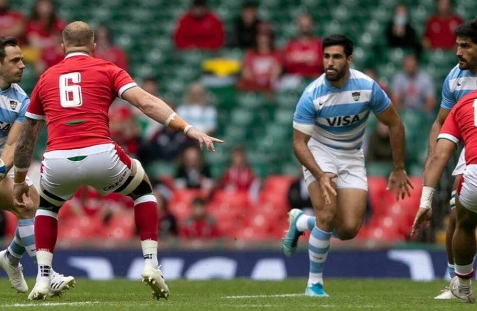 Los Pumas jugaron un partidazo y empataron 20-20 con Gales