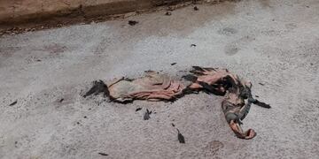 Conmoción en Montecarlo: un hombre falleció tras prenderse fuego en la vía pública.