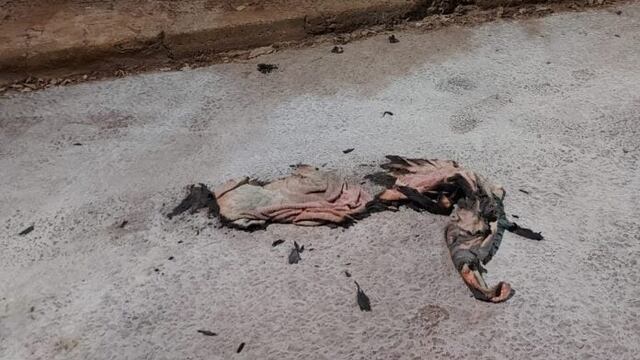 Conmoción en Montecarlo: un hombre falleció tras prenderse fuego en la vía pública.