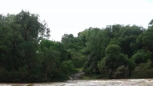 Eldorado: la crecida del río Paraná aisló a familias de Colonia Victoria.