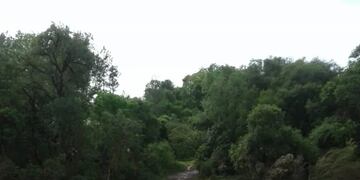 Eldorado: la crecida del río Paraná aisló a familias de Colonia Victoria.