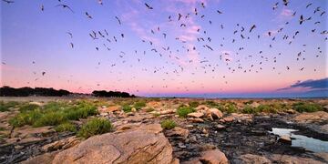 Se creó un nuevo Parque Nacional en Río Negro y esperan que hayan más.