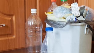 Chau al mal olor: el truco para limpiar el tacho de basura con solo un ingrediente de cocina