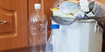 Chau al mal olor: el truco para limpiar el tacho de basura con solo un ingrediente de cocina