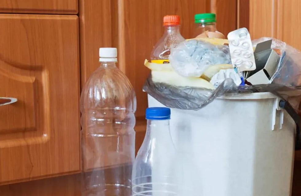 Chau al mal olor: el truco para limpiar el tacho de basura con solo un ingrediente de cocina