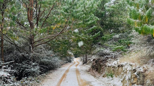 La Cumbrecita sorprendió y se tiñó de blanco en las vacaciones de invierno en Córdoba. (La Voz / Ilustrativa)
