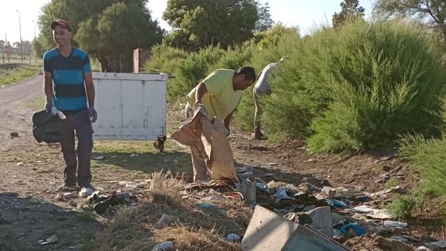 Informe semanal de la Coordinación de Higiene Urbana de Tres Arroyos