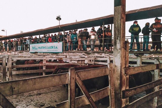 Remato Martin G Lalor S.A.