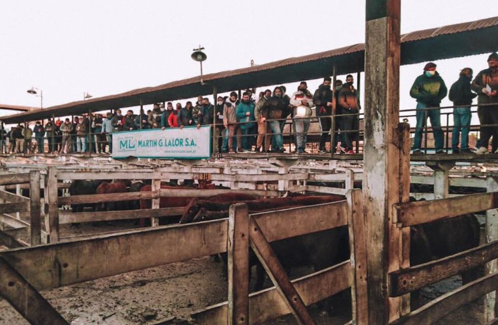 Volvió la actividad del mercado de liniers post paro