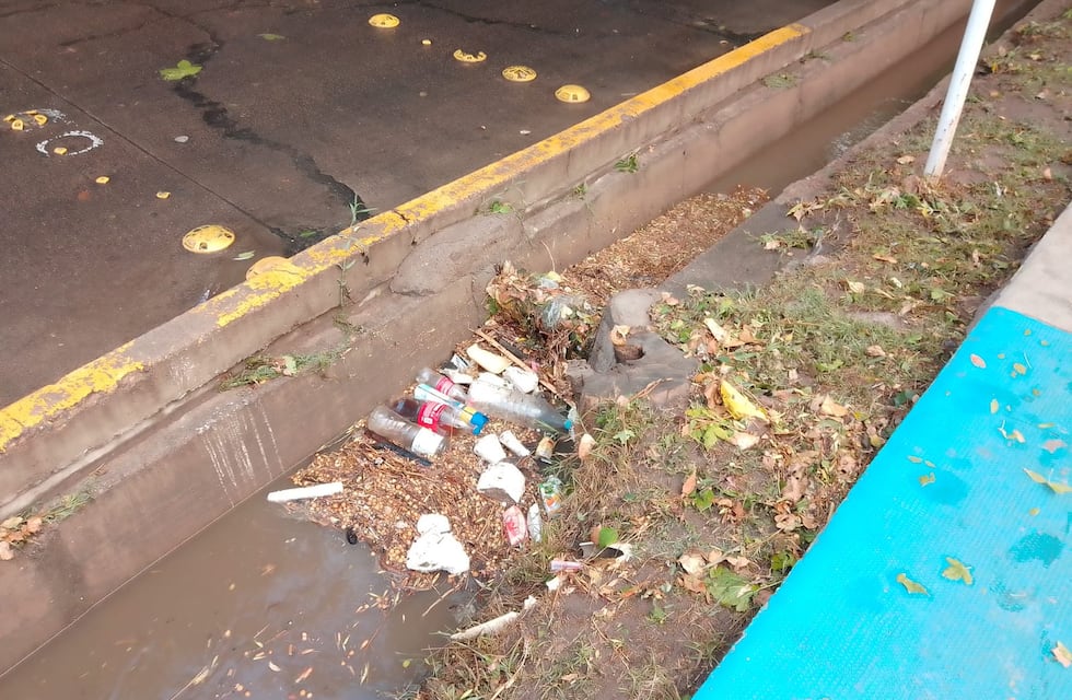Una historia que se repite: Las tormentas dejan al descubierto la cantidad de residuos que se alojan en las acequias de Mendoza