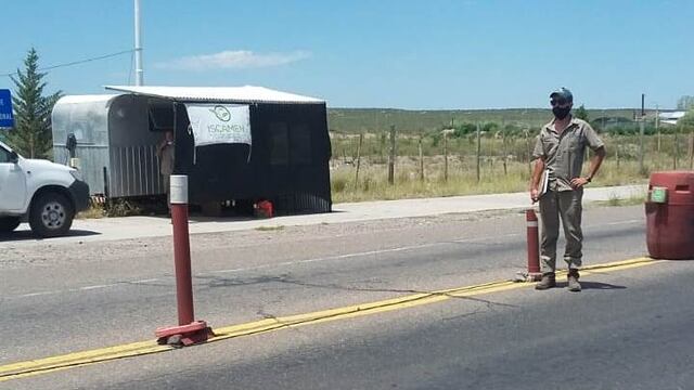 Se busca controlar al máximo la presencia de la polilla de la vid en camiones, cargas y herramientas que viajan al sur de Mendoza. Gentileza Gobierno de Mendoza