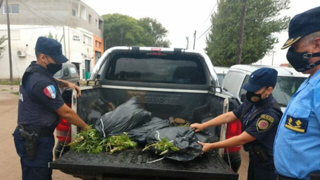 Escapó un control policial y lo detuvieron con plantas de marihuana (Policía de Córdoba)