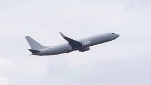 Grabó un insólito hallazgo mientras un avión aterrizaba en Córdoba ( Ilustrativa ).