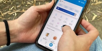 Sujetos mostraron un comprobante trucho de Mercado Pago y se llevaron $20.000 en carne de un local de Mendoza (imagen ilustrativa)