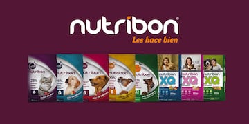 Nutribon, alimento balanceado.