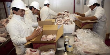 Carne de exportación, China tiene mayor demanda de porcinos, pero su a Brasil eso lo pone en jaque en materia de exportaciones