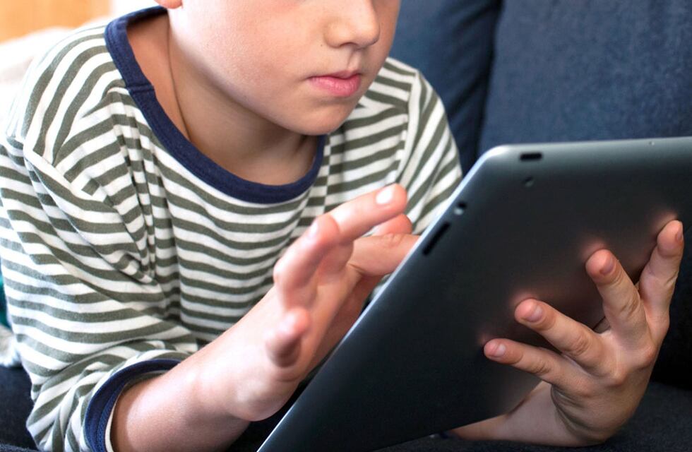 Docentes de Tolhuin participan de una capacitación sobre “Grooming”