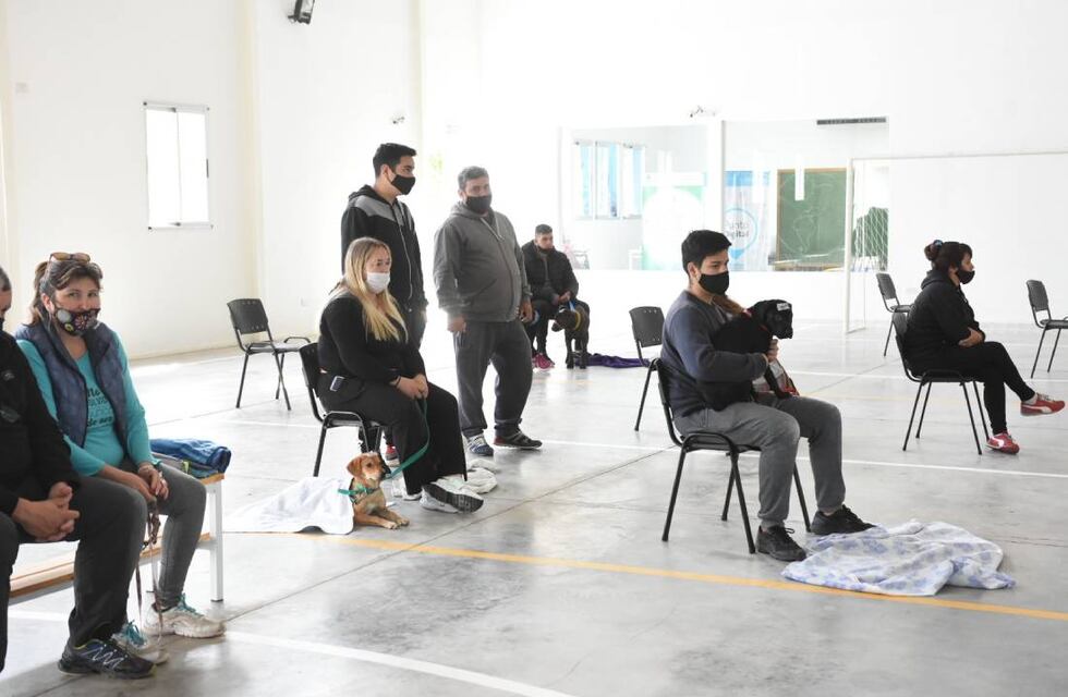 Nueva jornada especial de castraciones