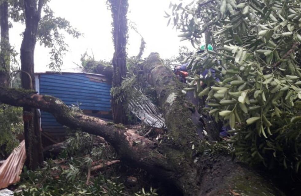 Villa Christen: caída de un árbol terminó destruyendo dos viviendas