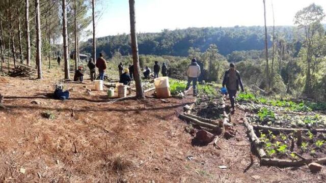 Denuncian toma de tierras en Puerto Piray.