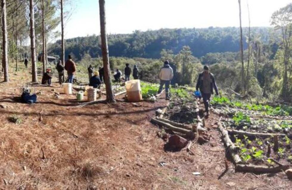 Denuncian toma de tierras en Puerto Piray
