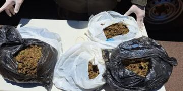 Posadas: Gendarmería Nacional secuestró marihuana en la terminal de ómnibus.