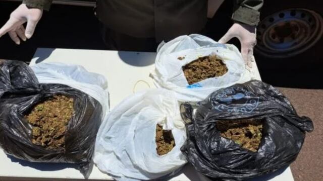 Posadas: Gendarmería Nacional secuestró marihuana en la terminal de ómnibus.