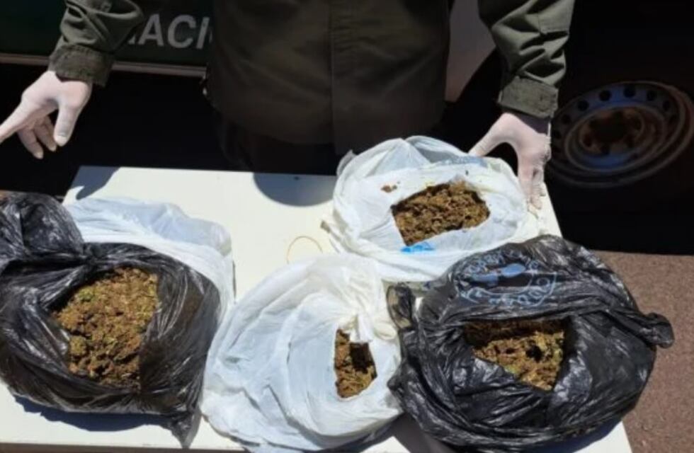 Posadas: Gendarmería Nacional secuestró marihuana en la terminal de ómnibus