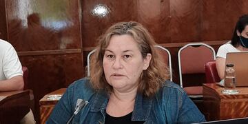 Fuerte cuestionamiento de la oposición al presupuesto presentado por la cartera de Cultura