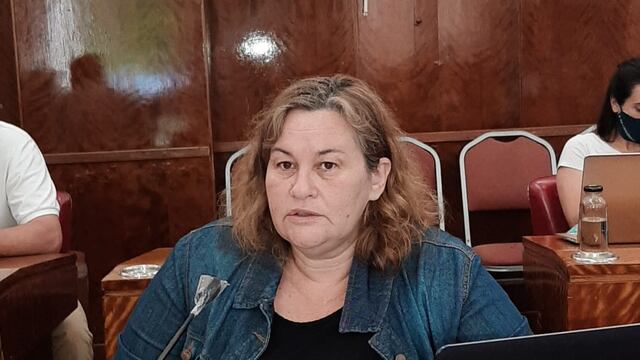 Fuerte cuestionamiento de la oposición al presupuesto presentado por la cartera de Cultura
