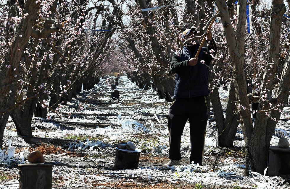 La helada golpeó fuerte en General Alvear y zonas de San Rafael
