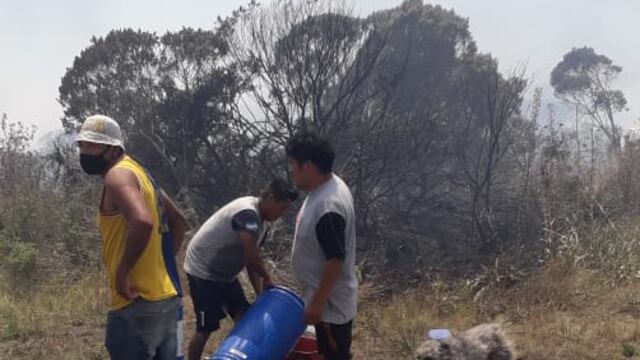 El foco ígneo comenzó en el terreno lindero al Club Social y Deportivo Chapadmalal. Los trabajadores lograron controlar las llamas