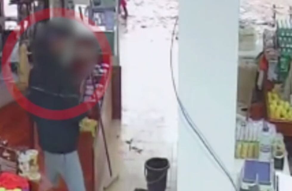 Puerto Iguazú: entró a robar a un comercio y quedó filmado por las cámaras de seguridad
